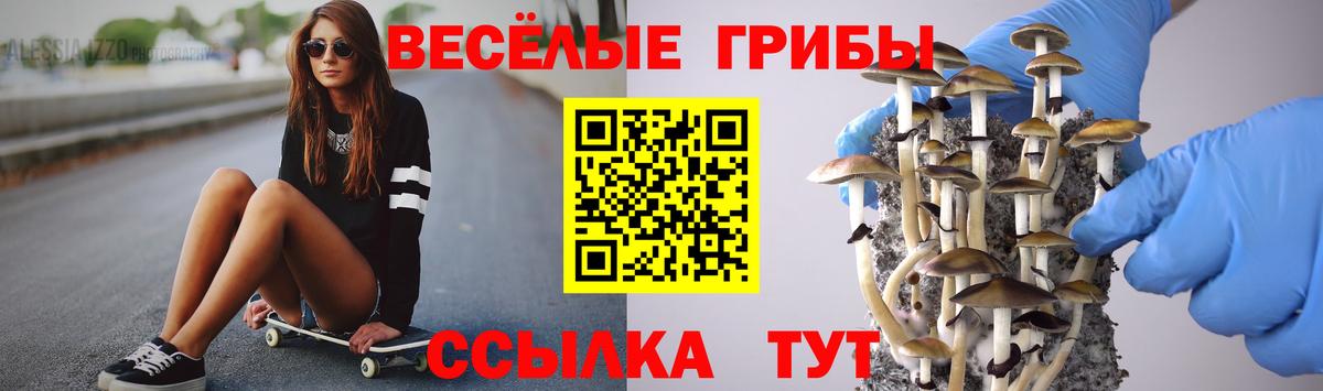 Лобня  Псилоцибиновые грибы Psilocybine cubensis  Вход с VPN 