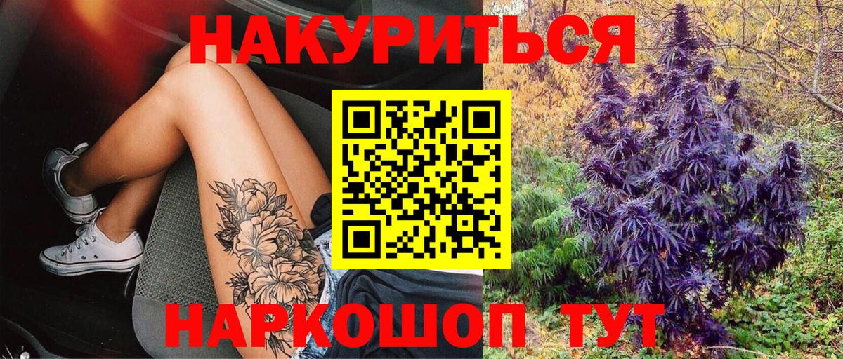 Канабис планчик Лобня